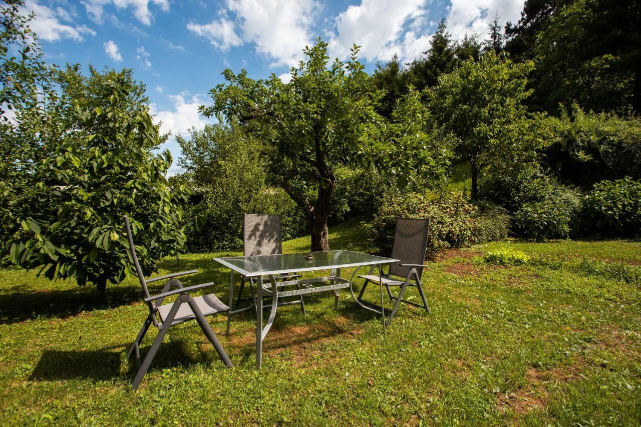 Guest House ANA.k Postojna Extérieur photo